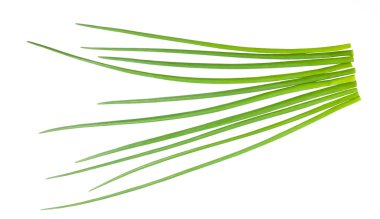 Chives bunch clipart