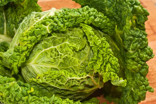 stock image Cabbage