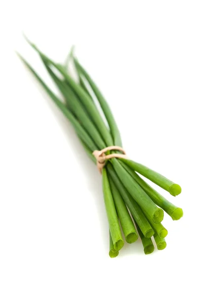 Зелений лук букет — стокове фото