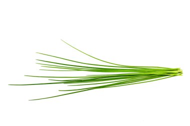 Chives clipart