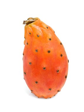 Prickly pear clipart