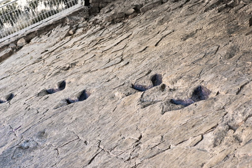 fossilized dinosaur footprints