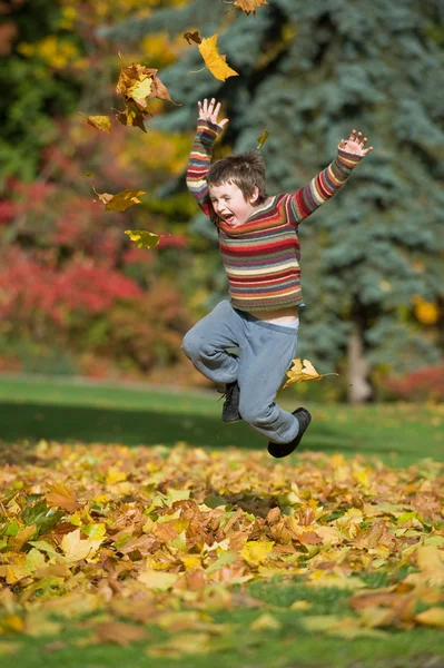 Ragazzo che gioca in foglie d'autunno Fotografia Stock