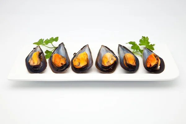 stock image Mussels