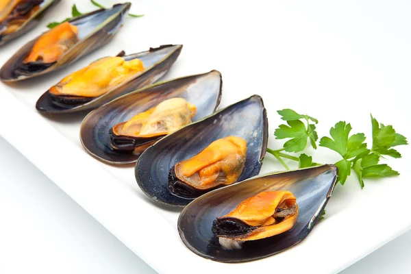 stock image Mussels