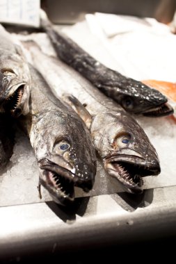 Fresh hake for sale in a market clipart