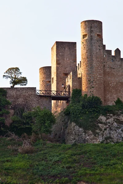 stock image Castle