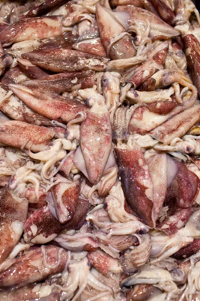 시장에서 판매에 대 한 신선한 오징어 — 스톡 사진