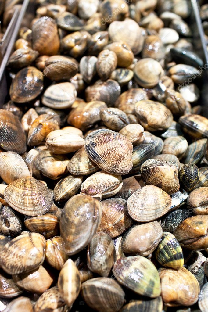 Fresh clams for sale at a market — Stock Photo © stable400 #9764077