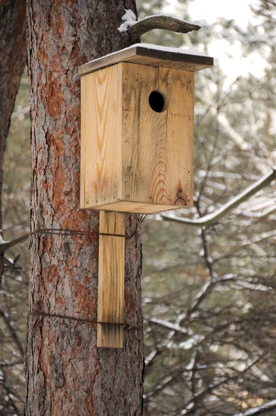 Ένα closeup του ένα birdhouse που επισυνάπτεται σε ένα δέντρο — Φωτογραφία Αρχείου