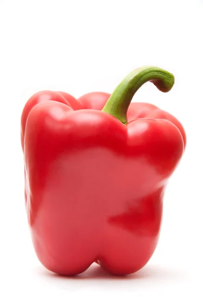 Paprika is on a white background — Stock Photo, Image