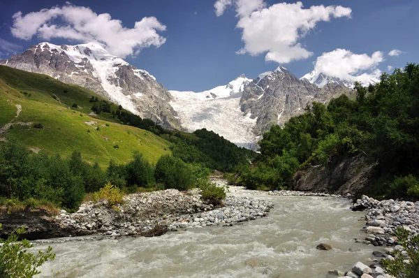 Stock image Adishi glacier with Adishi grove