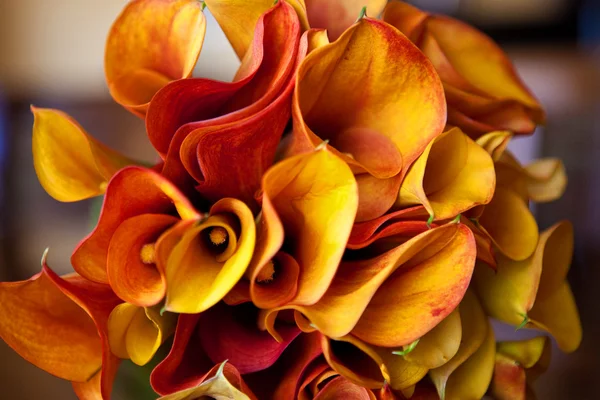 Stock image Bridal bouquet