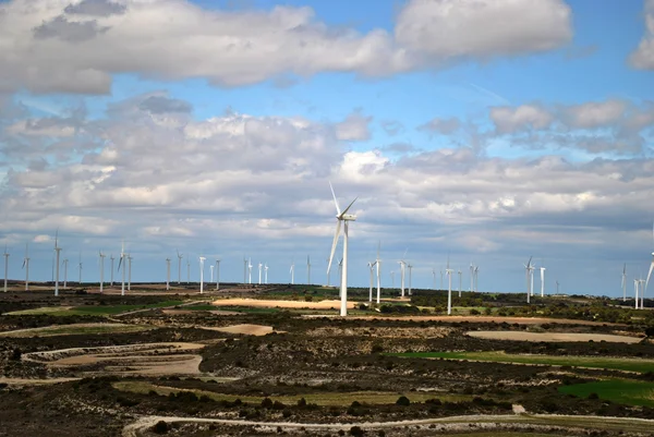 Many windmills — Stock Photo, Image