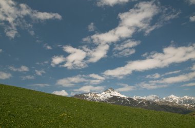 Alp Manzarası