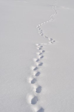 Footsteps in snow clipart