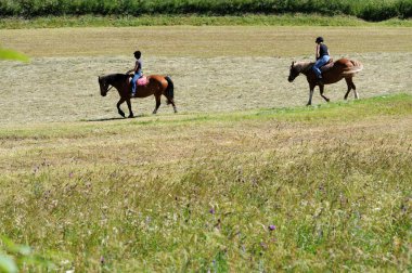 Two anonymous horse riders in a field in the swiss alps clipart