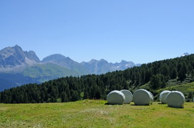 Majestic alpine peyzaj