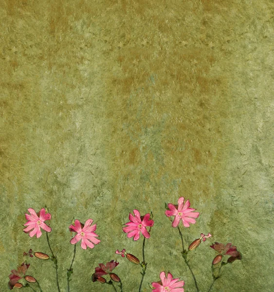 Blommig bakgrundsbild — Stockfoto