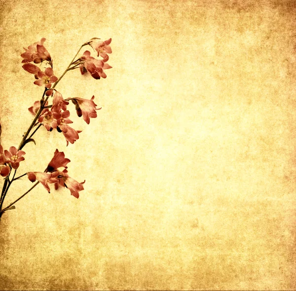 Floral φόντο εικόνα — Φωτογραφία Αρχείου