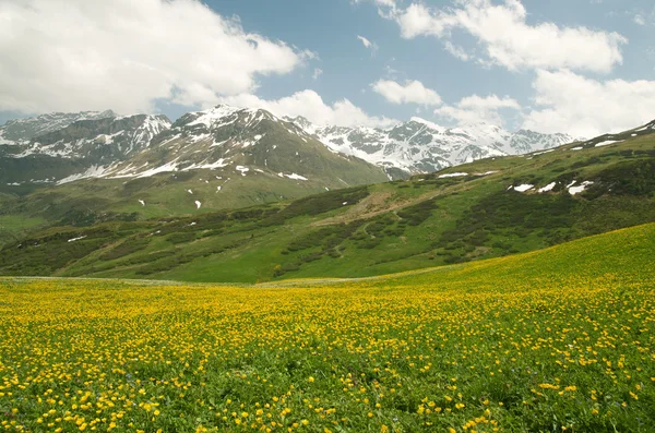 Alpská krajina — Stock fotografie