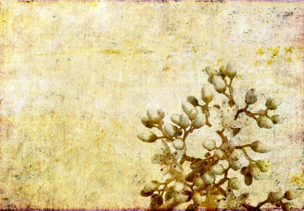 Ωραία φόντο εικόνα με γήινα υφή και floral στοιχεία. στοιχείο του σχεδιασμού χρήσιμες. — Φωτογραφία Αρχείου