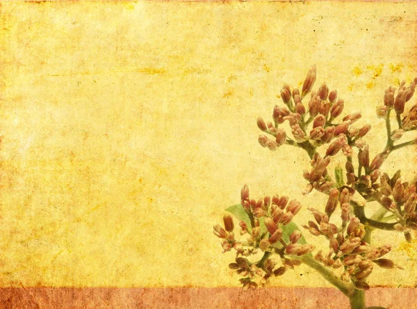 Schönes Hintergrundbild mit erdiger Textur und floralen Elementen. Nützliches Gestaltungselement. — Stockfoto