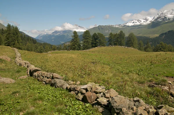Alpenlandschap — Stockfoto
