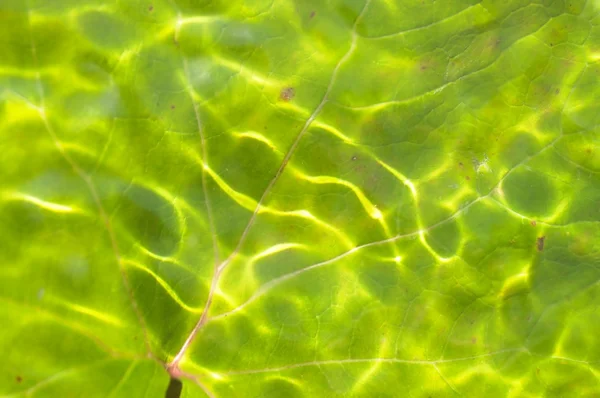 Immagine astratta di una superficie d'acqua in movimento — Foto Stock
