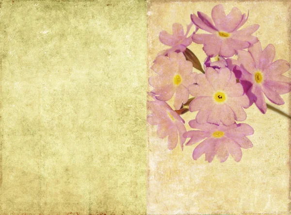 Ωραία φόντο εικόνα με floral στοιχεία. στοιχείο του σχεδιασμού χρήσιμες — Φωτογραφία Αρχείου