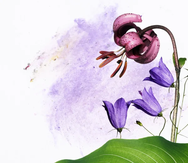 Bunte Illustration mit floralen Elementen. Nützliches Gestaltungselement. — Stockfoto
