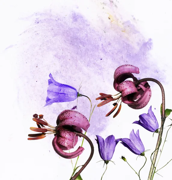 Colorida ilustración con elementos florales. elemento de diseño útil . —  Fotos de Stock