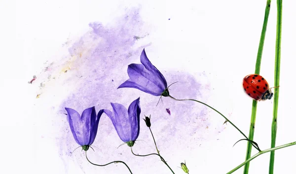 Πολύχρωμη απεικόνιση με πασχαλίτσα και floral στοιχεία. χρήσιμο στοιχείο σχεδιασμού. — Φωτογραφία Αρχείου