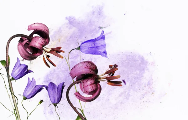 Colorida ilustración con elementos florales. elemento de diseño útil . —  Fotos de Stock