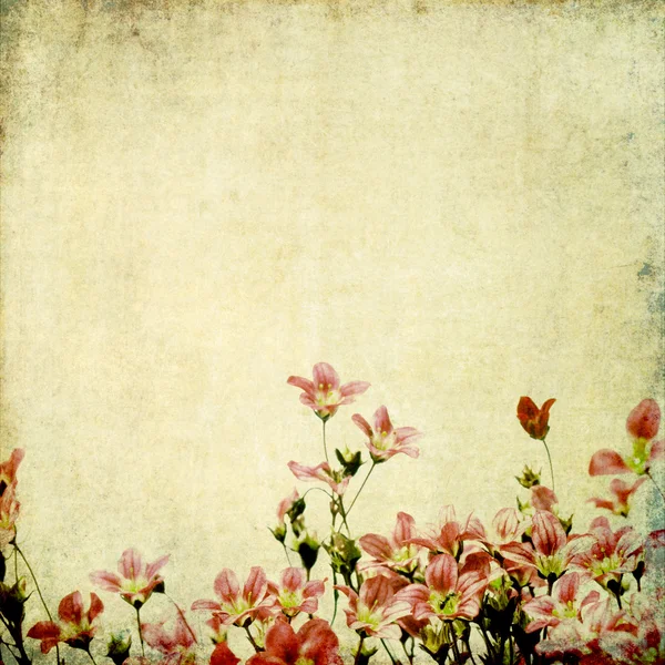 Прекрасное фоновое изображение с цветочными элементами — стоковое фото