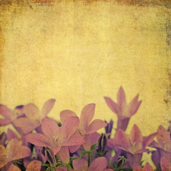 Krásné pozadí obrázek s květinové prvky. užitečné designový prvek. — Stock fotografie