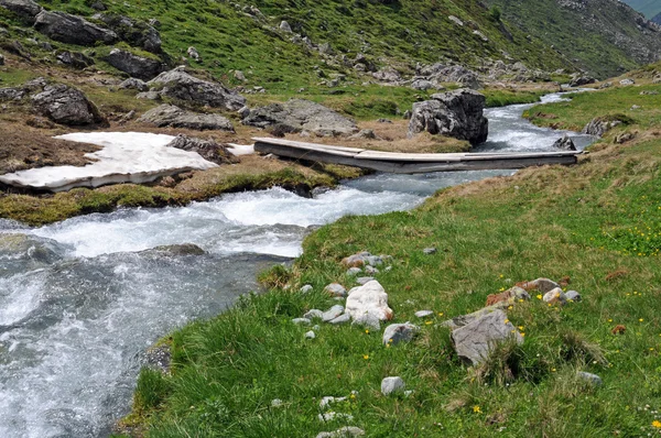 Прекрасный ручей в швейцарских горах — стоковое фото