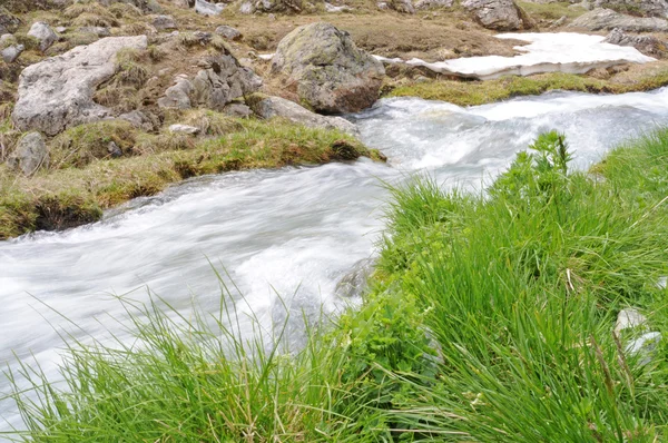 可爱的小河在瑞士山 — 图库照片