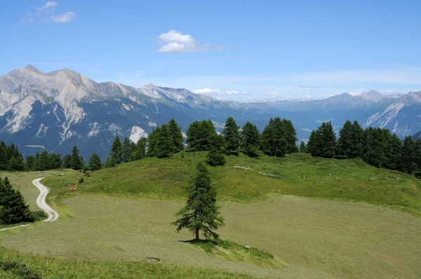 Majestuoso paisaje alpino — Stockfoto