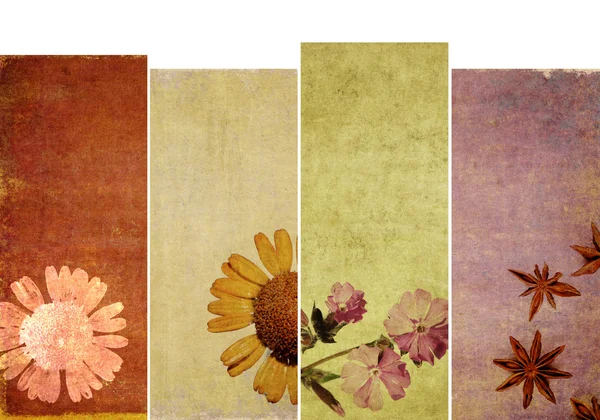 Прекрасный набор баннеров с цветочными элементами и грубыми текстурами — стоковое фото
