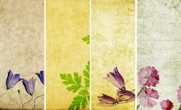 Прекрасний набір банерів з квітковими елементами і земними текстурами — стокове фото