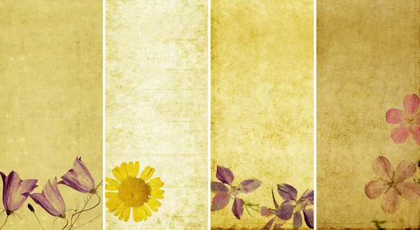 Lovely set of banners with floral elements and earthy textures — Stock Photo, Image