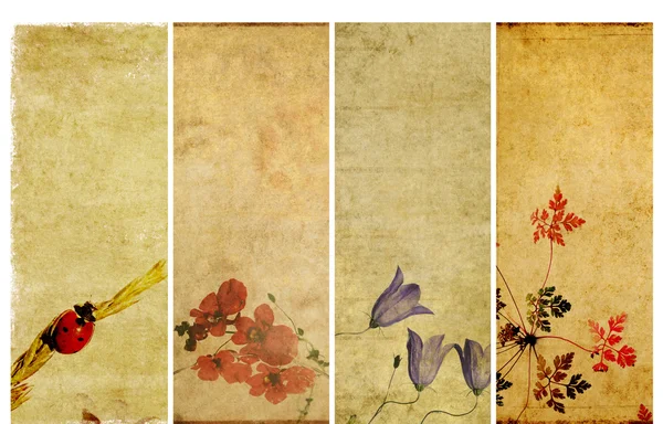 Bella serie di striscioni con elementi floreali e texture terrose — Foto Stock