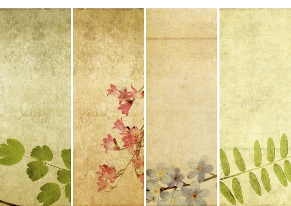Lovely set of banners with floral elements and earthy textures — Stock Photo, Image