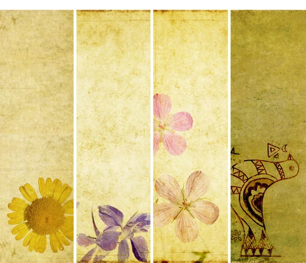 Transzparensek és virág földes textúrák szép sorozata — Stock Fotó