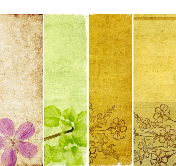 Mooie set van banners met florale elementen en aardse texturen — Stockfoto