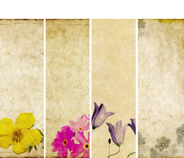 Прекрасный набор баннеров с цветочными элементами и грубыми текстурами — стоковое фото