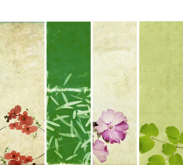 花の要素と素朴なテクスチャとバナーの素敵なセット — ストック写真