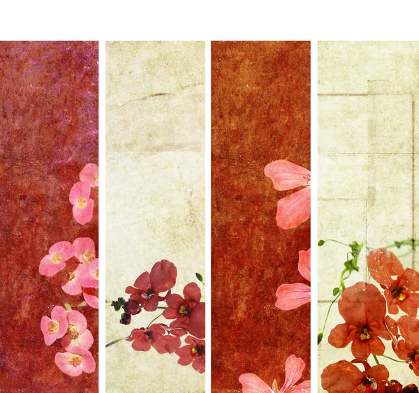 花の要素と素朴なテクスチャとバナーの素敵なセット — ストック写真