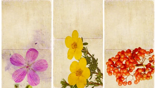 Schöne Banner mit floralen Elementen und erdigen Texturen — Stockfoto